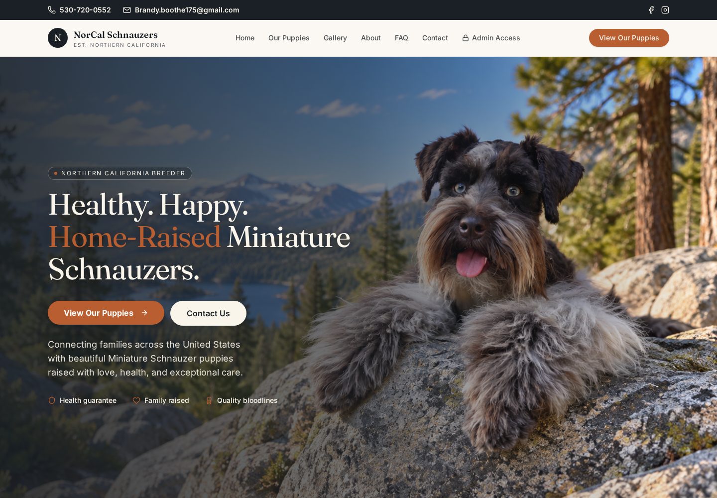 Norcal Schnauzers website screenshot