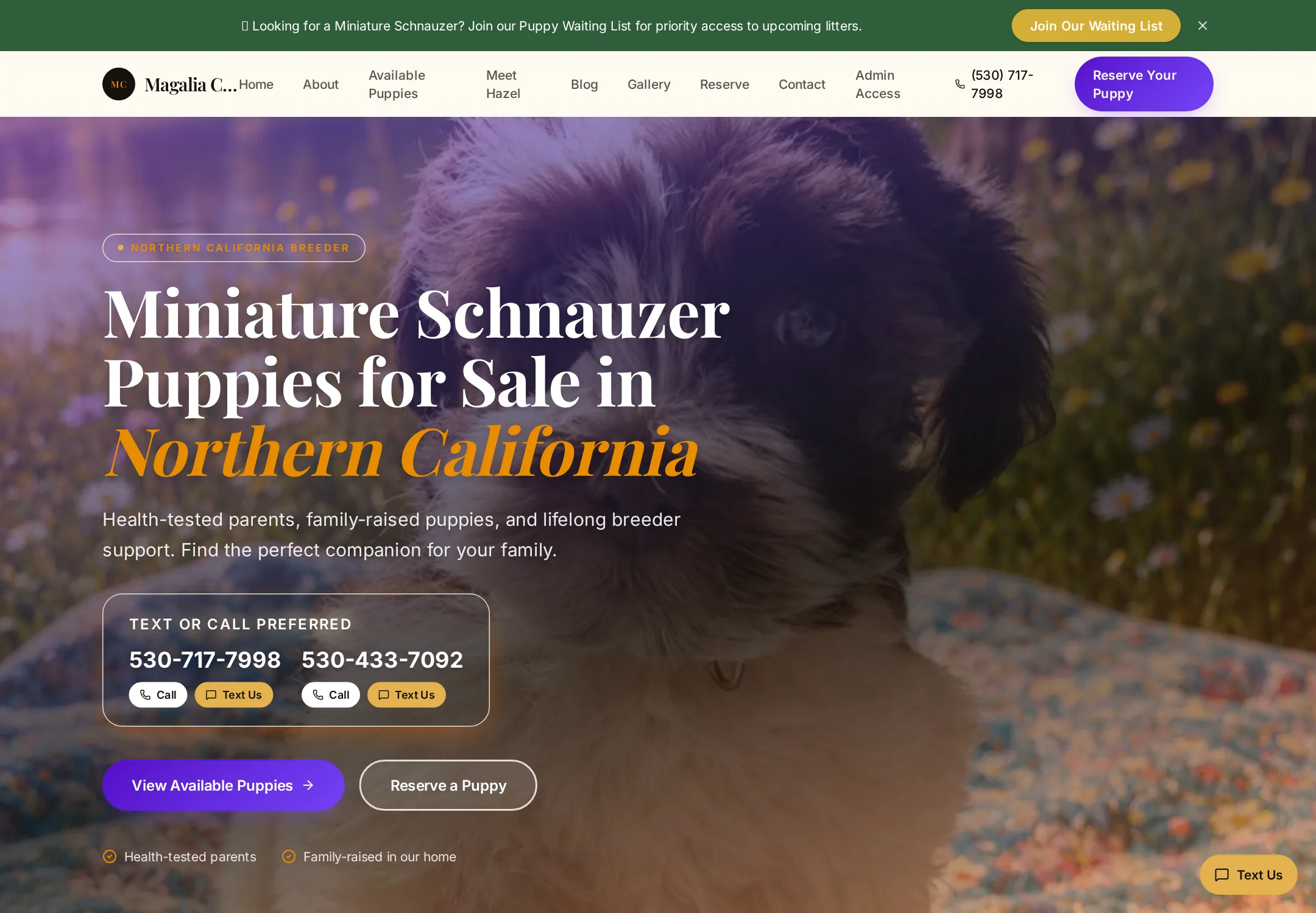 Magalia Crest Miniature Schnauzers website screenshot